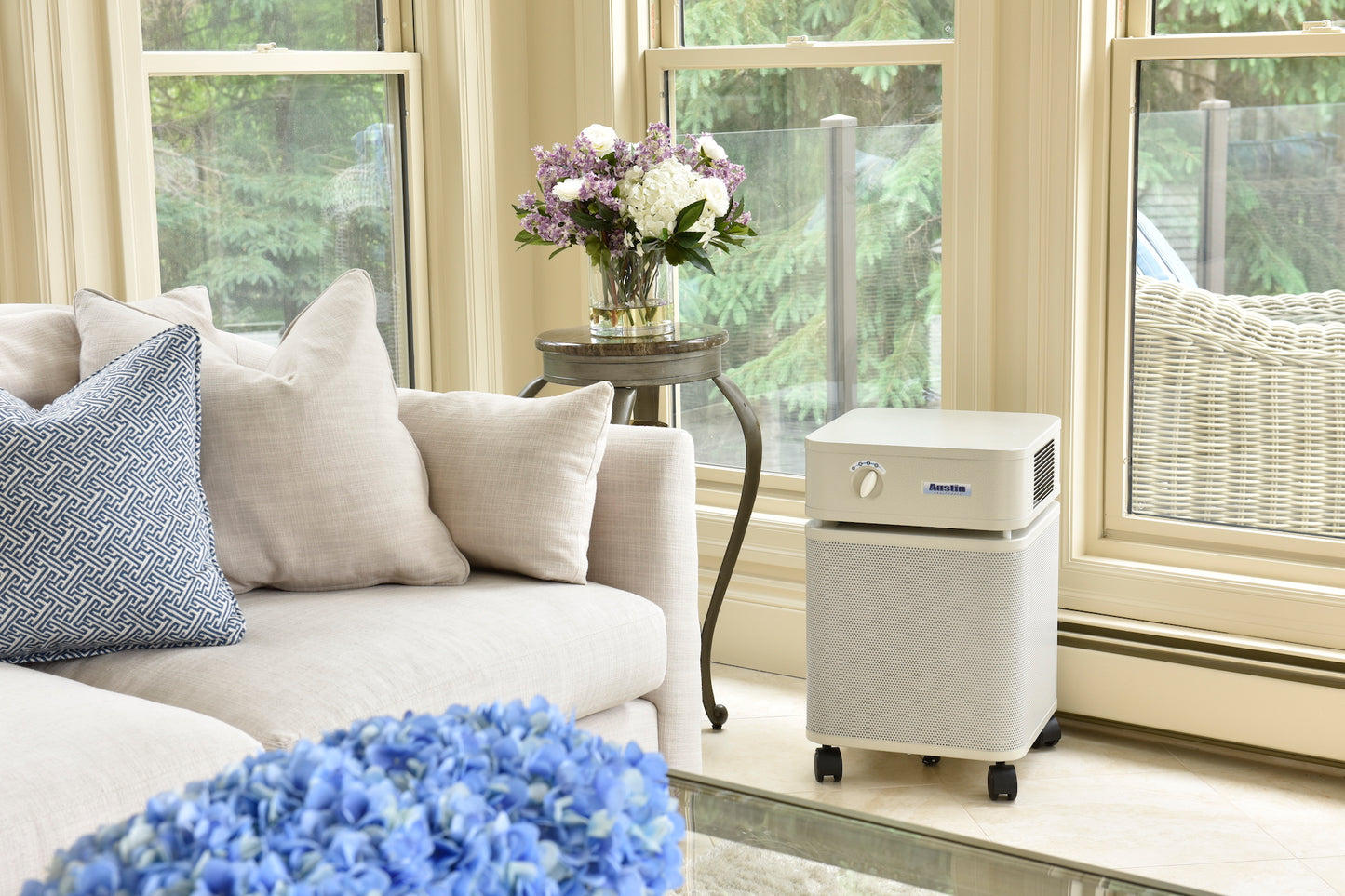 Austin Air HealthMate Air Purifier