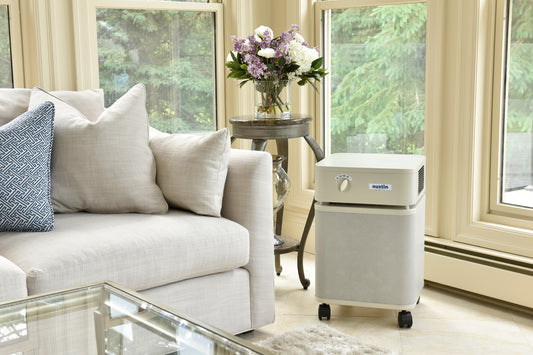 Austin Air HealthMate Plus Air Purifier