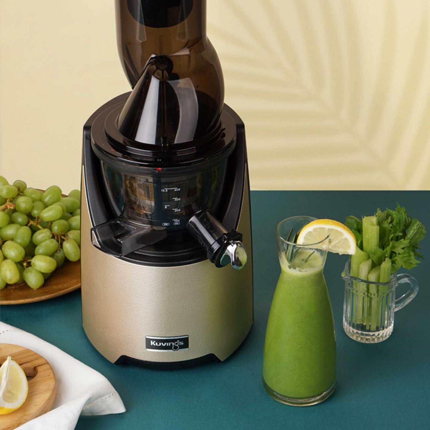 Kuvings Whole Slow Juicer - EVO820 Series